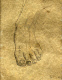 The Foot Drawing