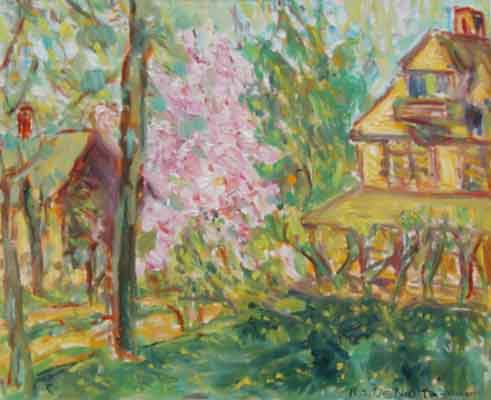 Cherry Blossomed Tree