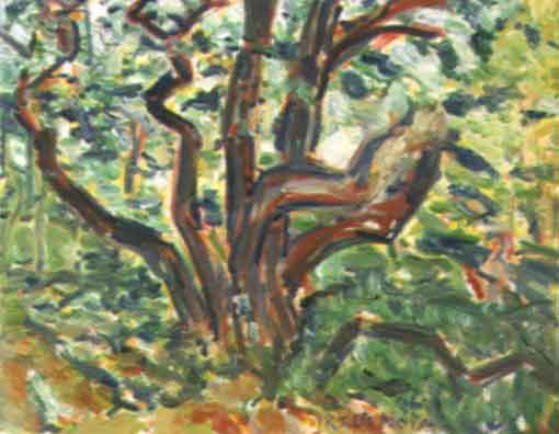 Tree Central Park