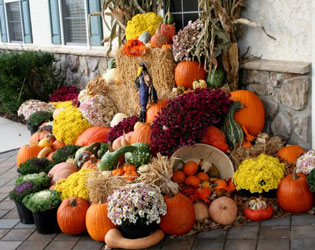 Pumpkins 0234