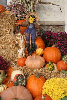 Pumpkins 0235
