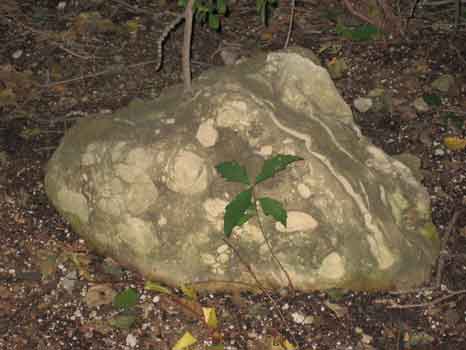 Nature Rock