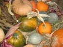Pumpkins