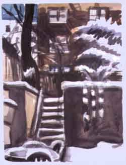 Backyard in February