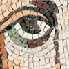 Developing Mosaic Eye