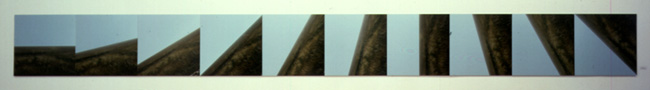 Land 0 135