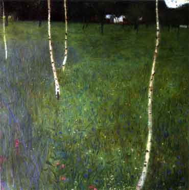 Farmhouse Birch Trees
