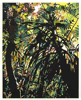 Emerald Forest